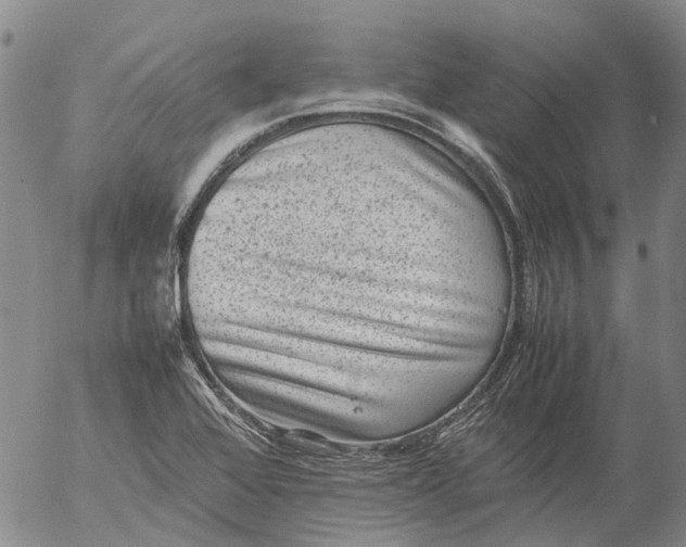 X0000053051368200508011837