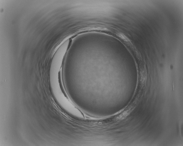 X0000053051369200508011837