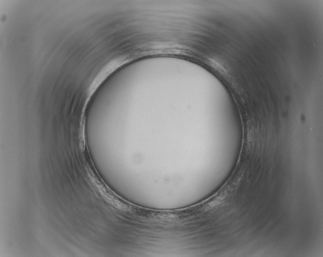 X0000053051370200508011837