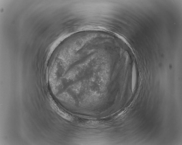 X0000053051371200508011837