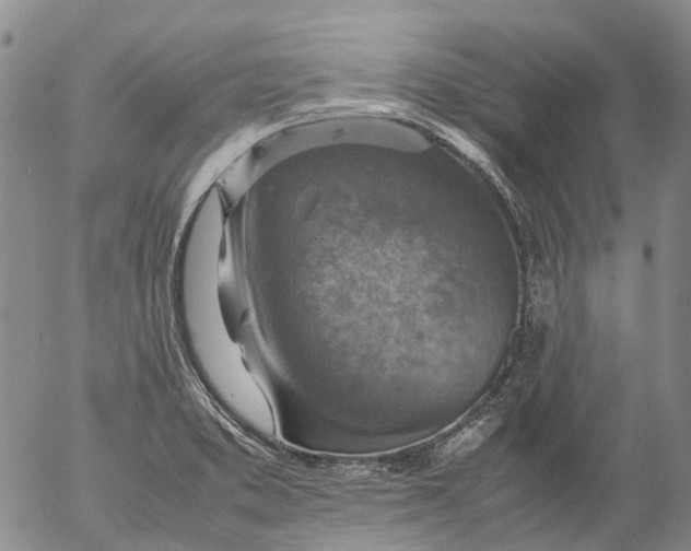 X0000053051373200508011837