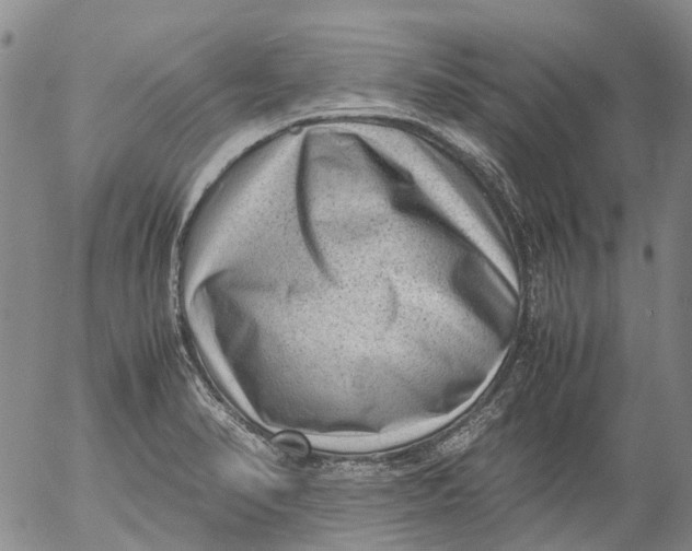 X0000053051374200508011837