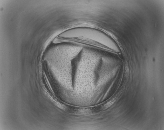 X0000053051375200508011837