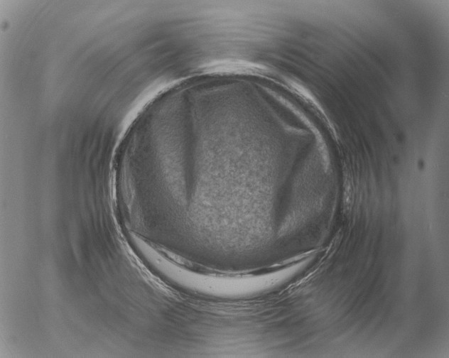 X0000053051376200508011837