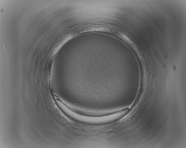 X0000053051377200508011837