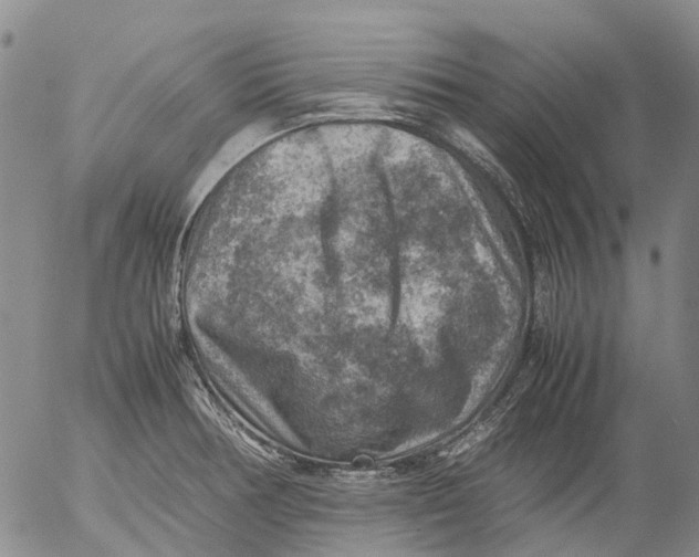 X0000053051378200508011837