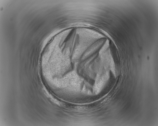 X0000053051379200508011837