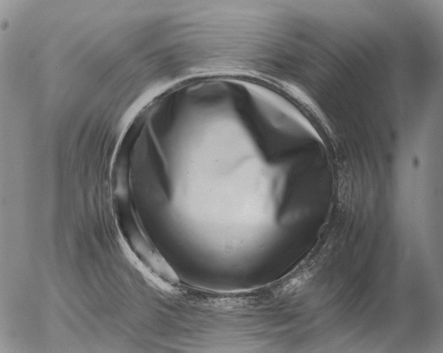 X0000053051380200508011837