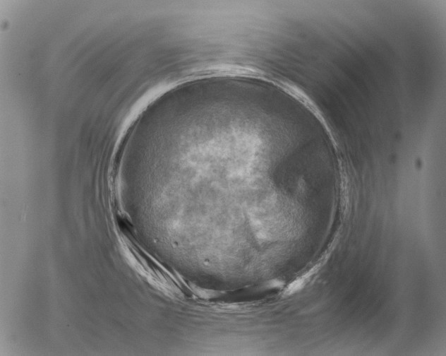 X0000053051381200508011837