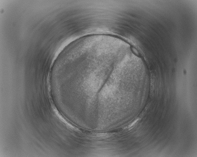 X0000053051382200508011837