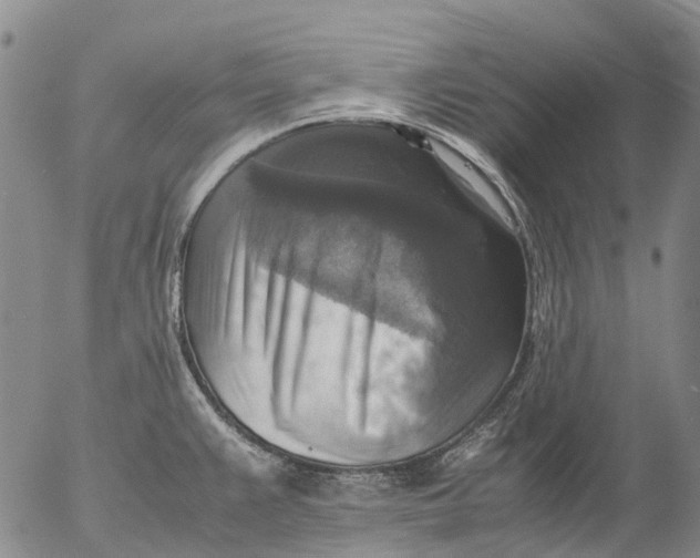 X0000053051383200508011836