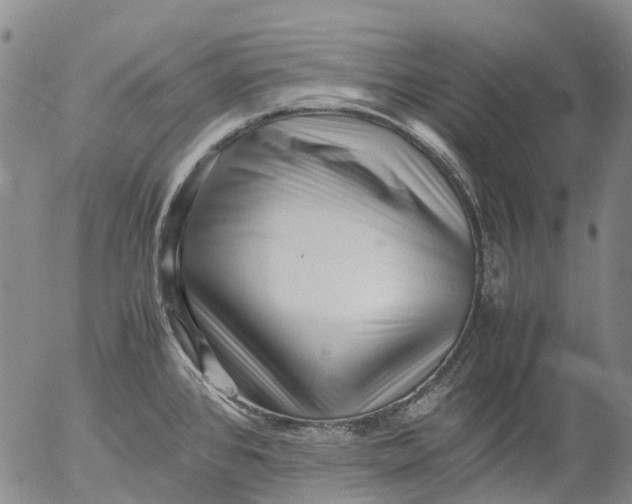 X0000053051384200508011836