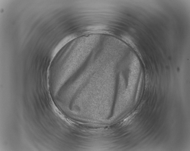 X0000053051386200508011836