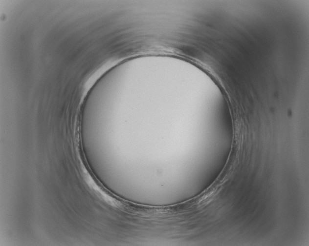 X0000053051387200508011836