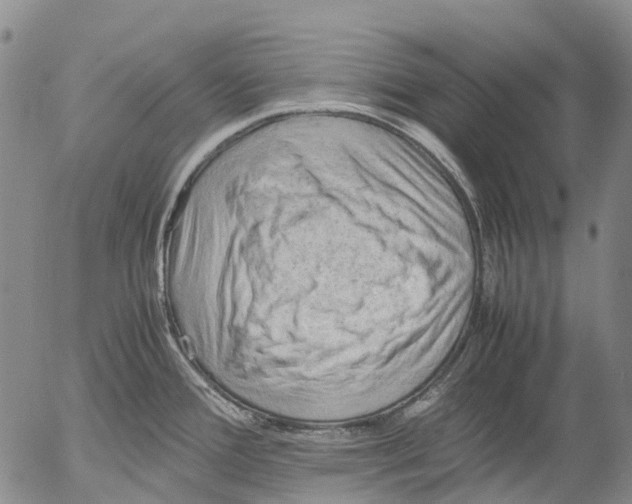 X0000053051388200508011836