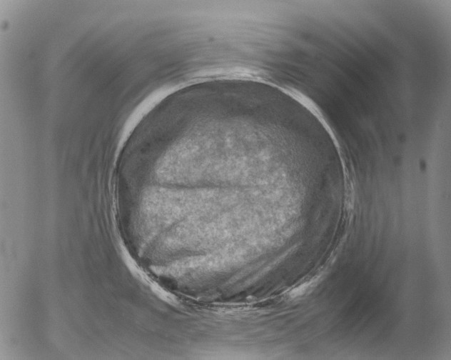 X0000053051389200508011836