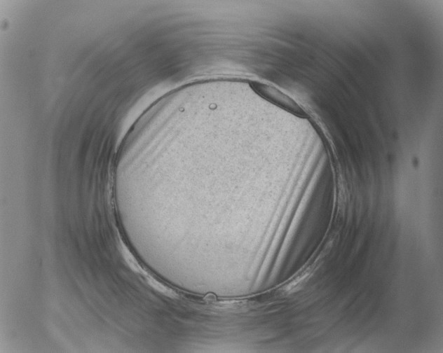 X0000053051390200508011836