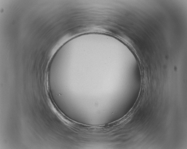 X0000053051391200508011836