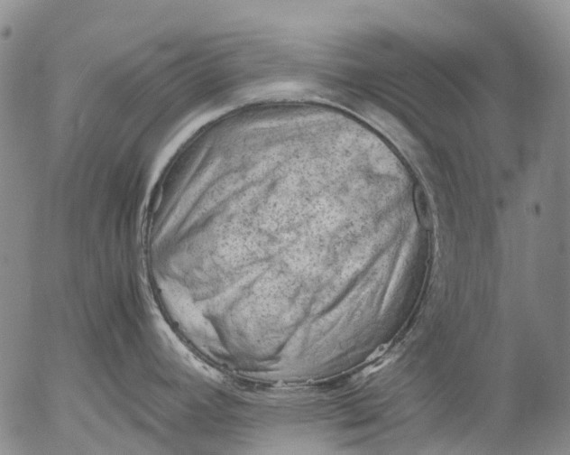 X0000053051392200508011836