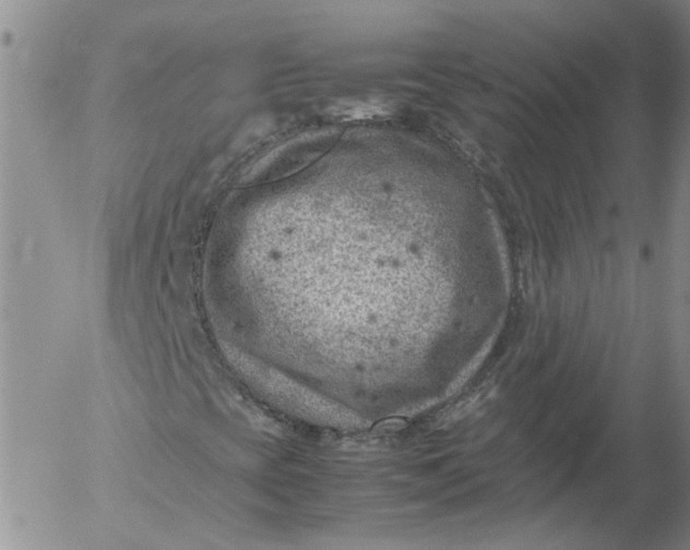 X0000053051393200508011835