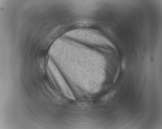 X0000053051396200508011835