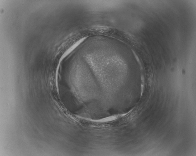 X0000053051397200508011835