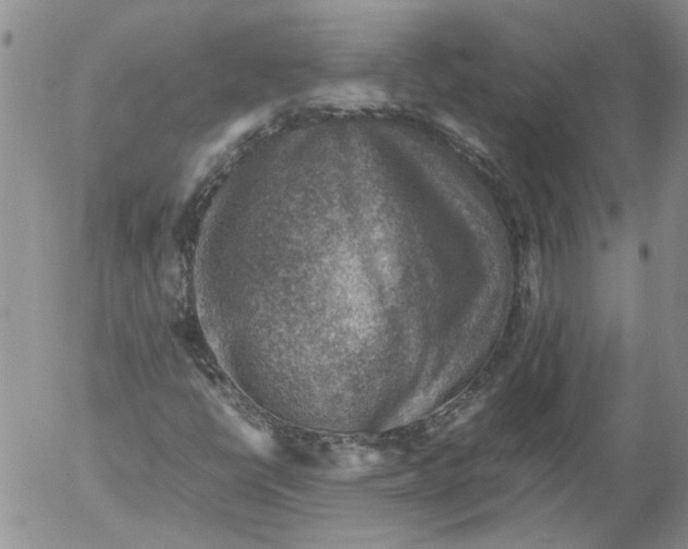 X0000053051398200508011836