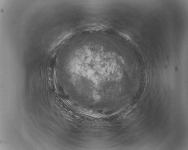 X0000053051399200508011836