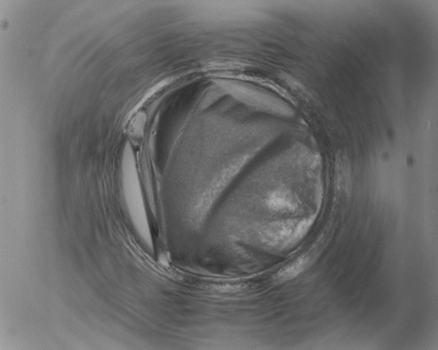 X0000053051401200508011836