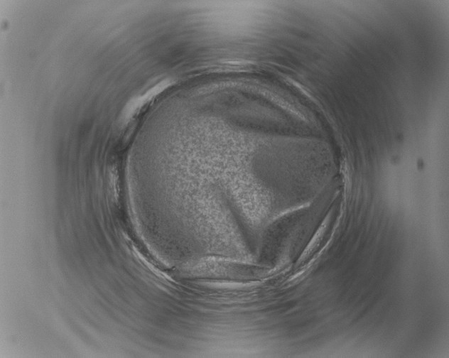 X0000053051402200508011836