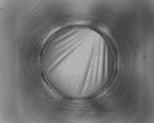 X0000053051404200508011836