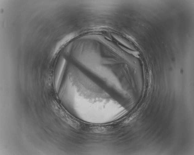 X0000053051405200508011836