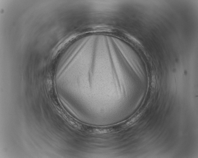 X0000053051407200508011836