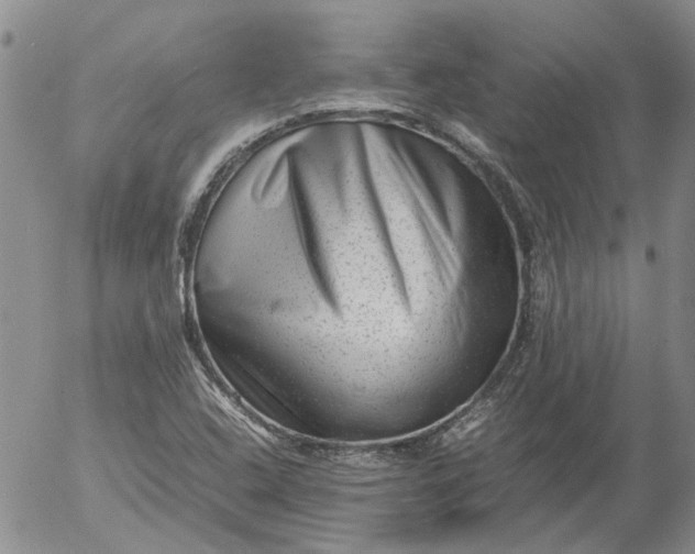 X0000053051408200508011836