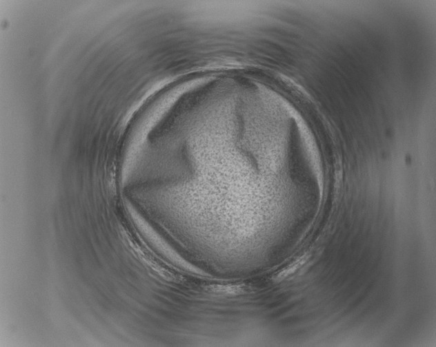 X0000053051409200508011836