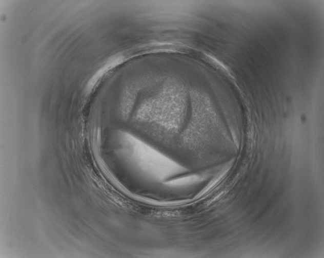 X0000053051411200508011836