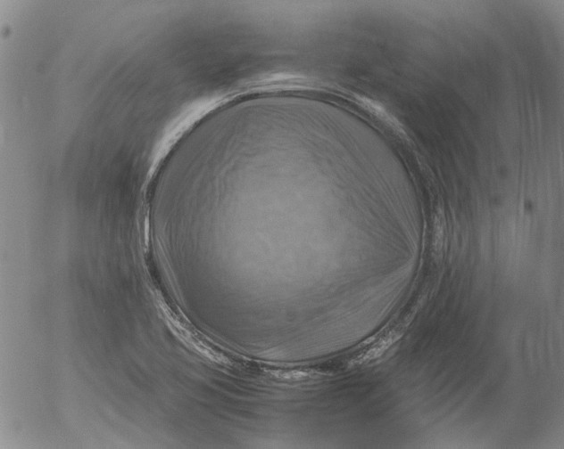 X0000053051413200508011836