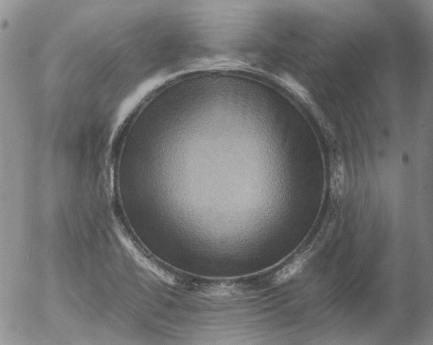 X0000053051414200508011836