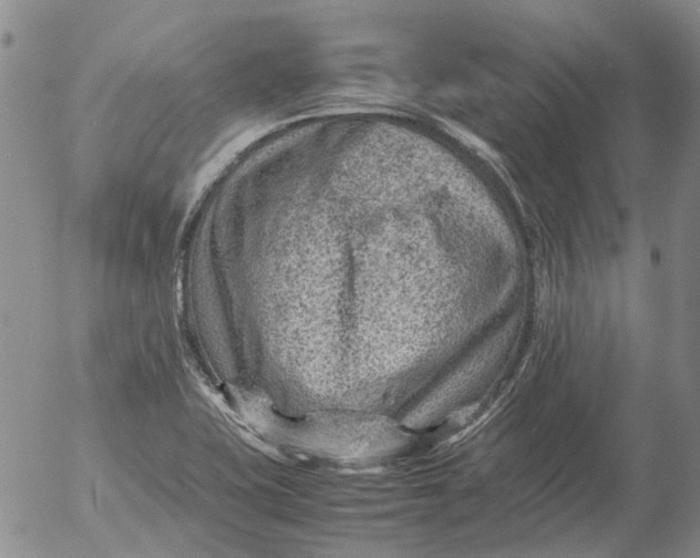 X0000053051415200508011836