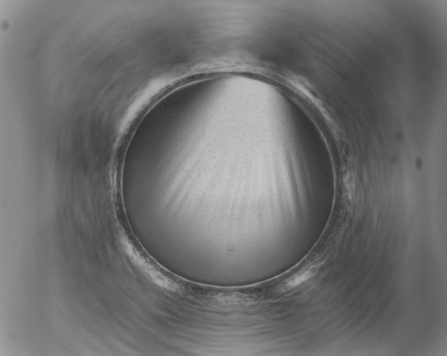 X0000053051416200508011836