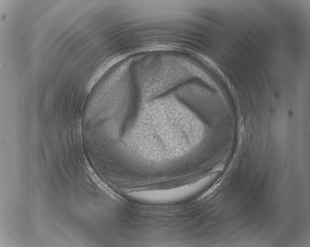 X0000053051417200508011836