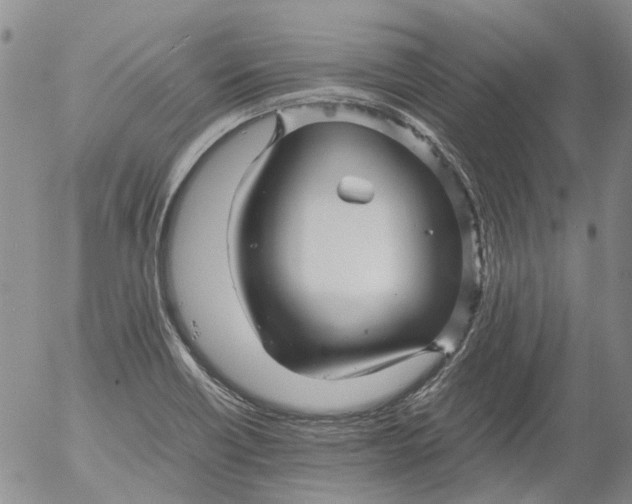 X0000053051418200508011836