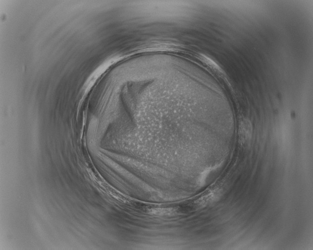 X0000053051419200508011836