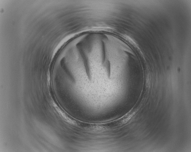 X0000053051420200508011836