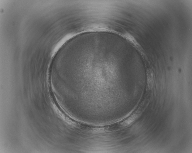 X0000053051422200508011836