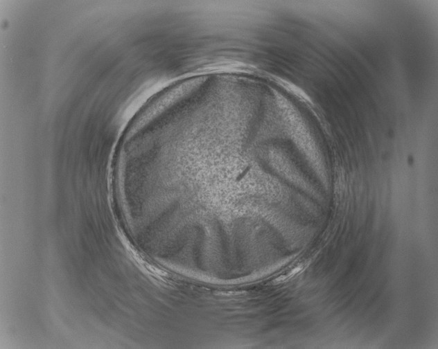 X0000053051423200508011836