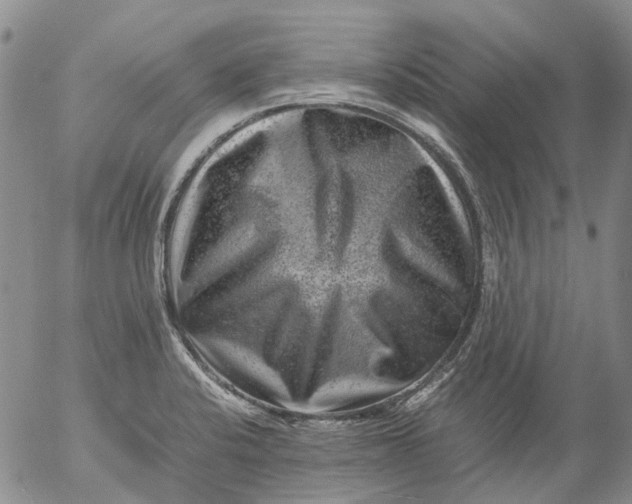 X0000053051424200508011836