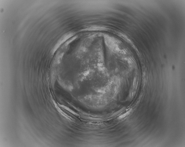 X0000053051425200508011836