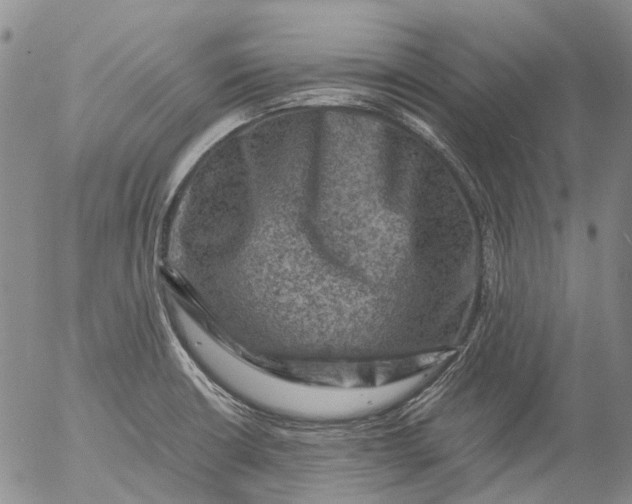 X0000053051426200508011836