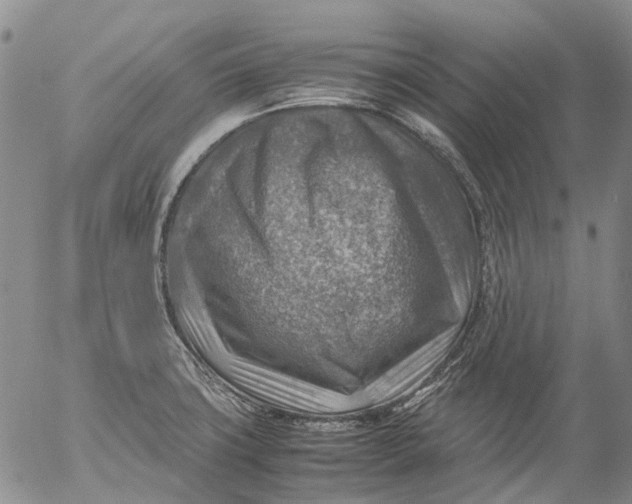 X0000053051427200508011836